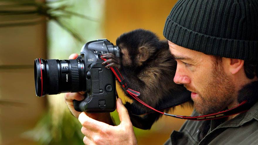 animales enamorados de la cámara mono objetivo