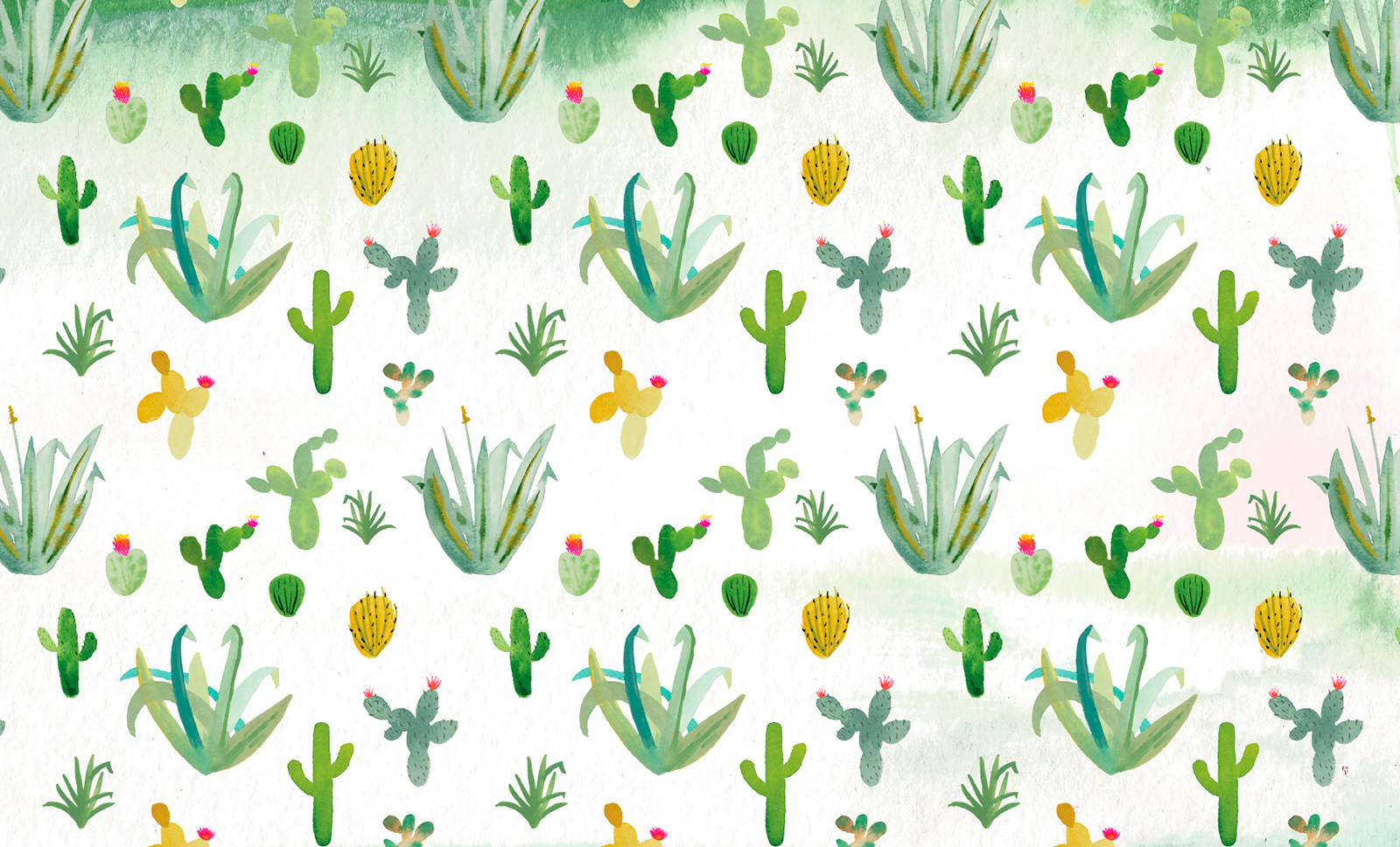 cactus tiwel ropa