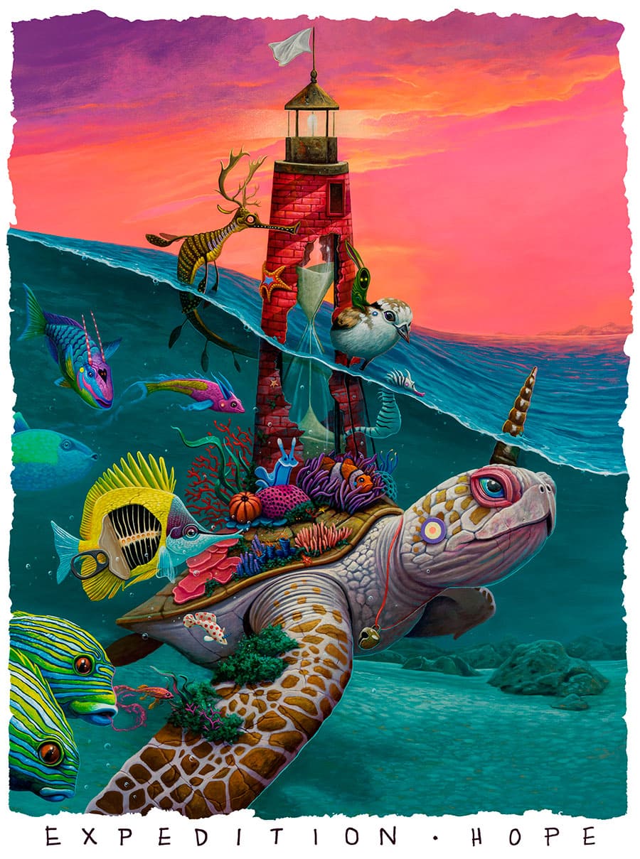 dulk expedition hope tortuga mar