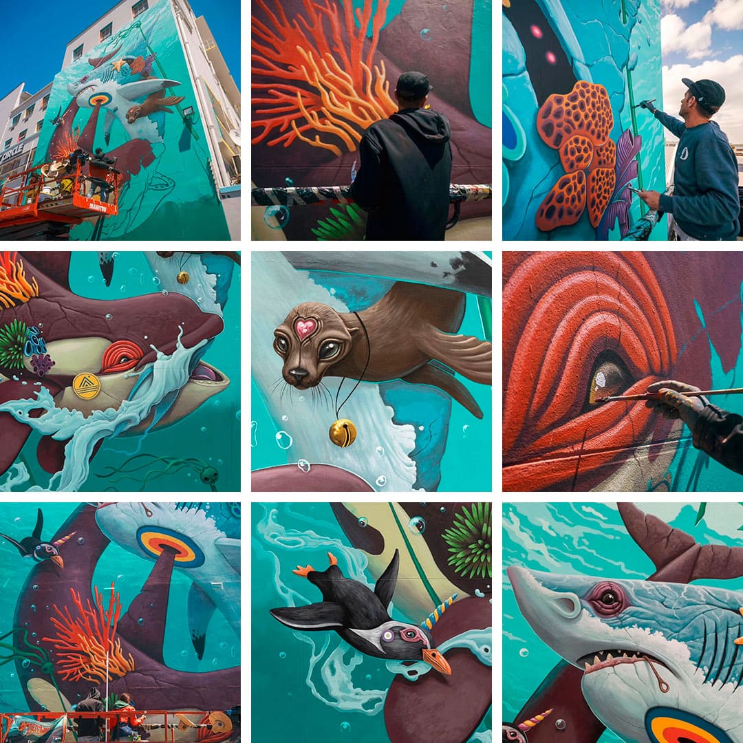 dulk white shark cape town mural ocean